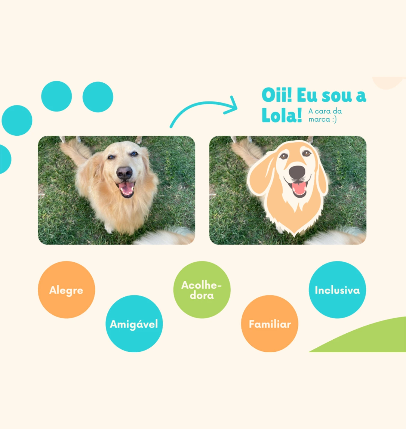 Identidade visual Casa da Lola