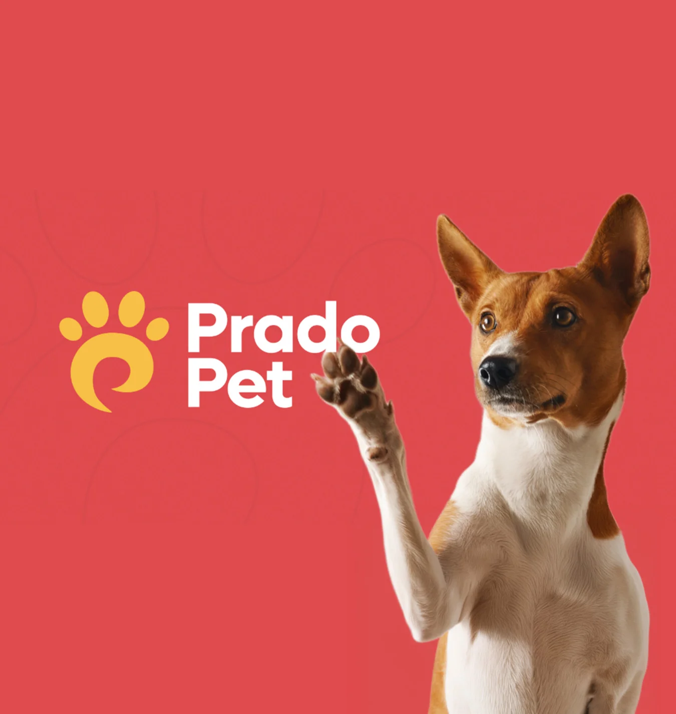Identidade visual PradoPet